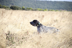 20251004_Ausejo (La Rioja)