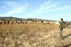 20251004_Ausejo_20251004_IMG_2399_ACG