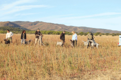 20251004_Ausejo_20251004_IMG_9057_ACG