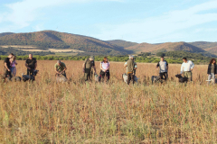 20251004_Ausejo_20251004_IMG_9058_ACG