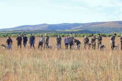 20251004_Ausejo_20251004_IMG_9061_ACG