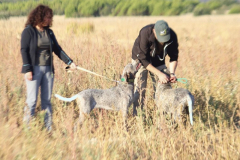 20251004_Ausejo_20251004_IMG_9067_ACG