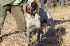 20251004_Ausejo_20251004_IMG_9080_ACG