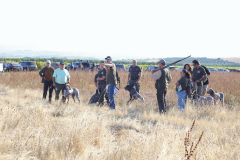 20251004_Ausejo_20251004_IMG_9087_ACG