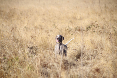 20251004_Ausejo_20251004_IMG_9093_ACG