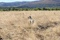 20251004_Ausejo_20251004_IMG_9095_ACG