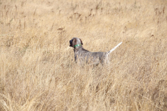 20251004_Ausejo_20251004_IMG_9096_ACG