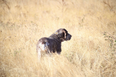 20251004_Ausejo_20251004_IMG_9107_ACG