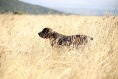 20251004_Ausejo_20251004_IMG_9114_ACG