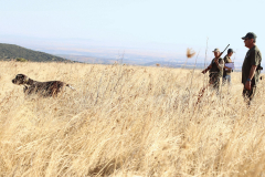 20251004_Ausejo_20251004_IMG_9115_ACG