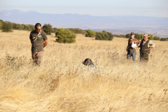 20251004_Ausejo_20251004_IMG_9118_ACG