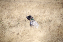 20251004_Ausejo_20251004_IMG_9119_ACG