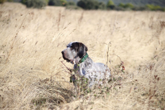 20251004_Ausejo_20251004_IMG_9122_ACG