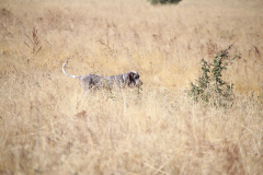 20251004_Ausejo_20251004_IMG_9127_ACG