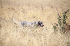 20251004_Ausejo_20251004_IMG_9129_ACG