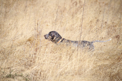 20251004_Ausejo_20251004_IMG_9136_ACG