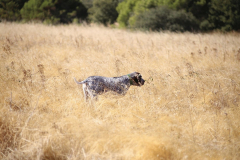 20251004_Ausejo_20251004_IMG_9140_ACG