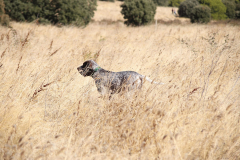 20251004_Ausejo_20251004_IMG_9142_ACG