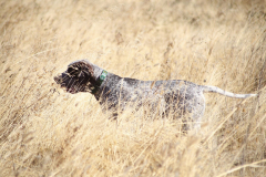 20251004_Ausejo_20251004_IMG_9146_ACG