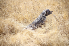 20251004_Ausejo_20251004_IMG_9151_ACG