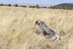 20251004_Ausejo_20251004_IMG_9152_ACG