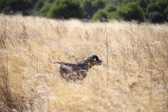 20251004_Ausejo_20251004_IMG_9156_ACG