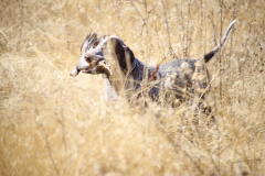 20251004_Ausejo_20251004_IMG_9159_ACG