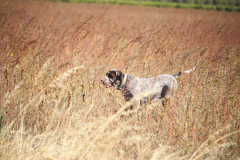 20251004_Ausejo_20251004_IMG_9165_ACG