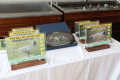 20251004_Ausejo_20251004_IMG_9209_ACG