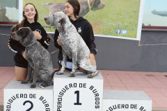 20251004_Ausejo_20251004_IMG_9265_ACG_PI_5