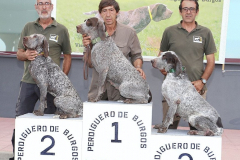 20251004_Ausejo_20251004_IMG_9271_ACG_PA_6