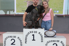 20251004_Ausejo_20251004_IMG_9280_ACG_1