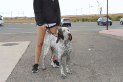 20251004_Ausejo_20251004_IMG_9288_ACG