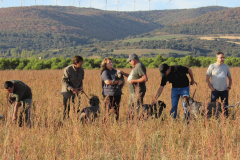 20251004_Ausejo_26476704_Unknown_JMM_11