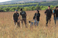 20251004_Ausejo_26477024_Unknown_JMM_29