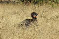 20251004_Ausejo_26477248_Unknown_JMM_39