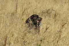 20251004_Ausejo_26477392_Unknown_JMM_40