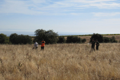 20251004_Ausejo_26477632_Unknown_JMM_41