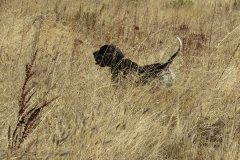 20251004_Ausejo_26477664_Unknown_JMM_42