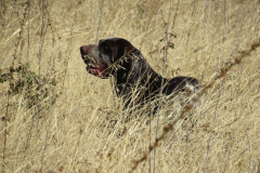 20251004_Ausejo_26477760_Unknown_JMM_43