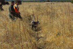 20251004_Ausejo_26478160_Unknown_JMM_47