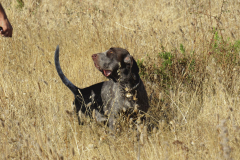 20251004_Ausejo_26478240_Unknown_JMM_49