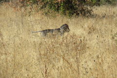 20251004_Ausejo_26478320_Unknown_JMM_50