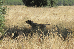 20251004_Ausejo_26478544_Unknown_JMM_52