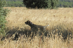 20251004_Ausejo_26478560_Unknown_JMM_53