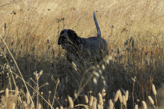 20251004_Ausejo_26478576_Unknown_JMM_54