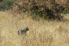 20251004_Ausejo_26479376_Unknown_JMM_58