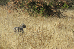 20251004_Ausejo_26479408_Unknown_JMM_59