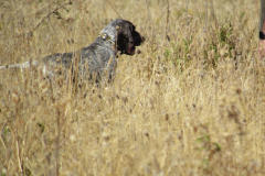 20251004_Ausejo_26479744_Unknown_JMM_64