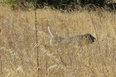 20251004_Ausejo_26480080_Unknown_JMM_66